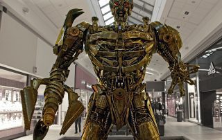 Robot with arms