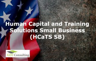 Human Capital and Training Solutions Small Business (HCaTS SB)