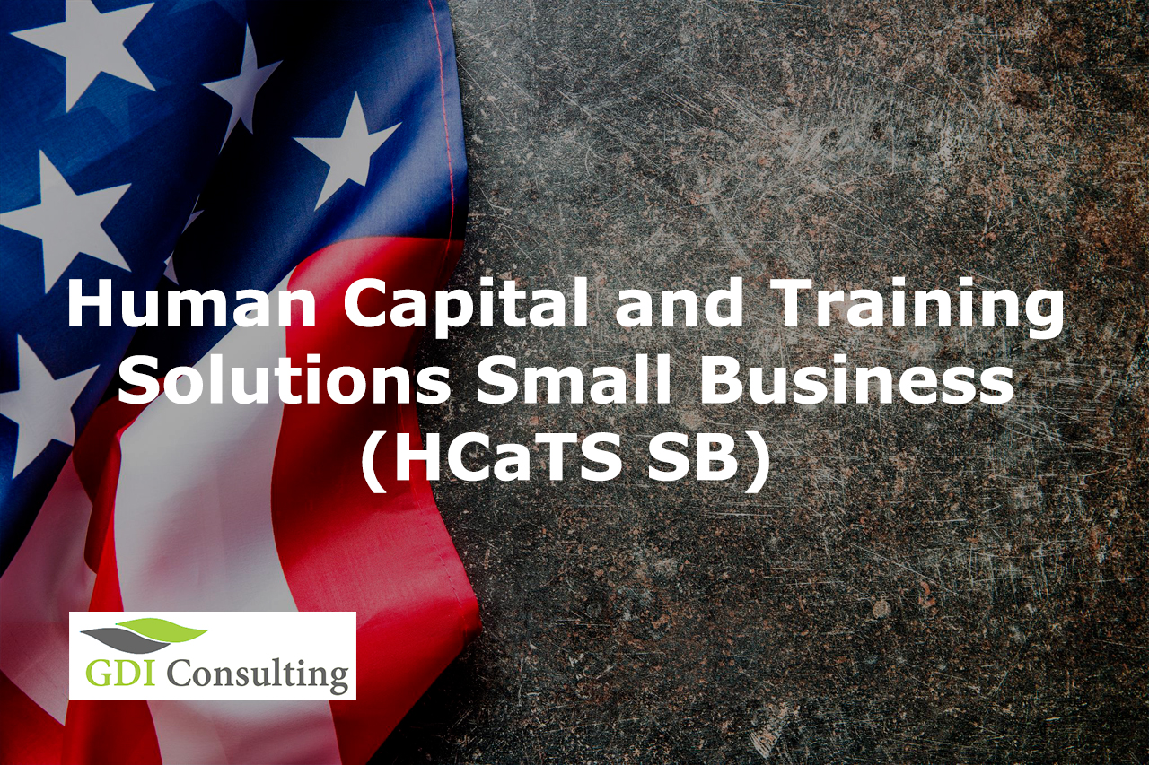 Human Capital and Training Solutions Small Business (HCaTS SB)