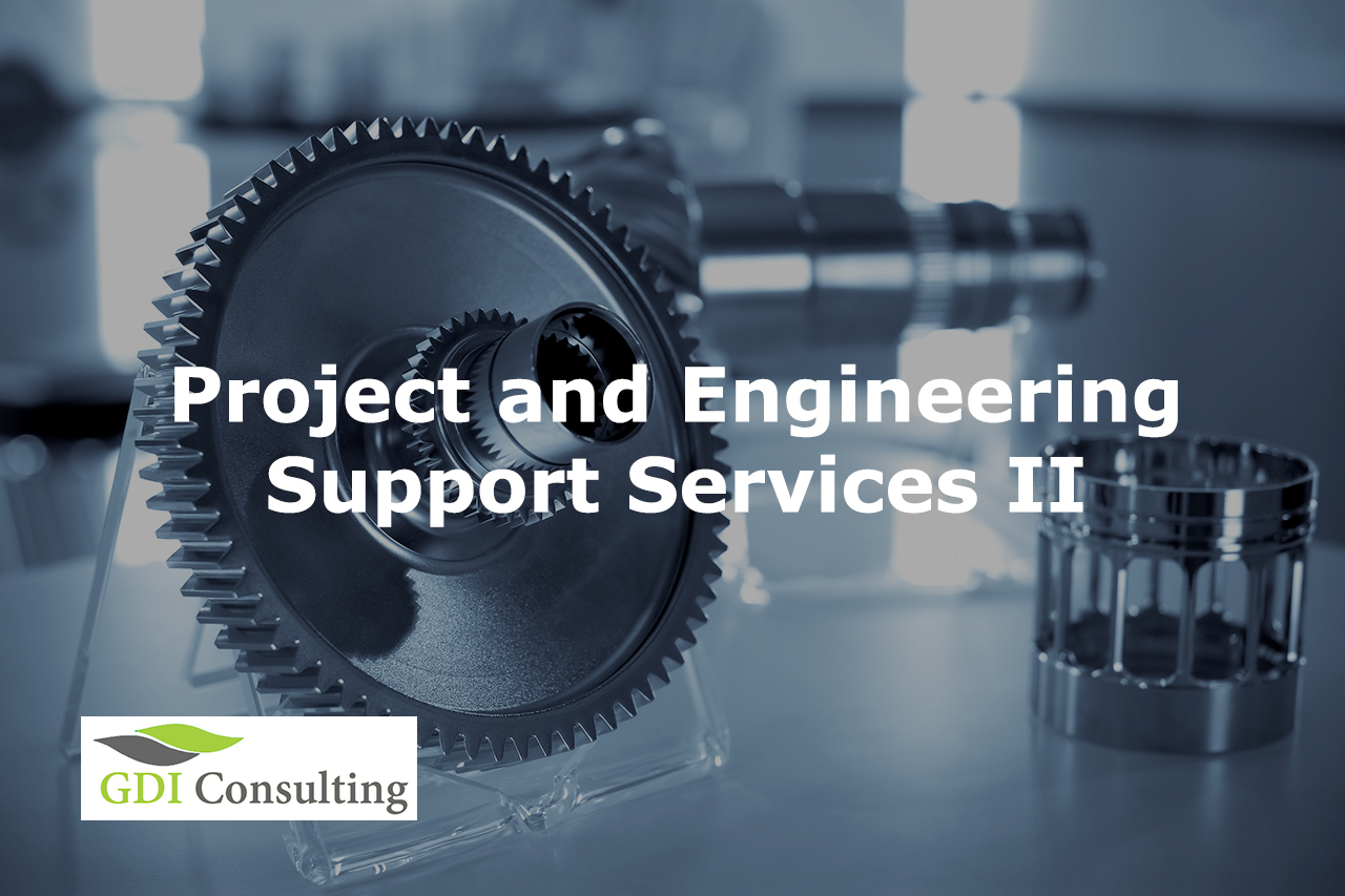 Project and Engineering Support Services II