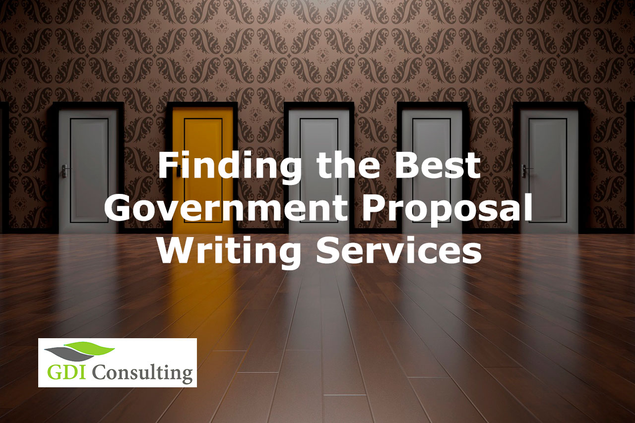 government proposal writing services