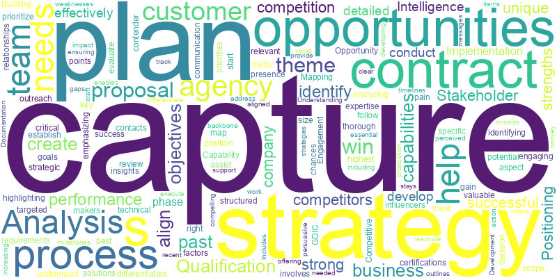 capture_strategy_plan_wordcloud market assessment and industry analysis services