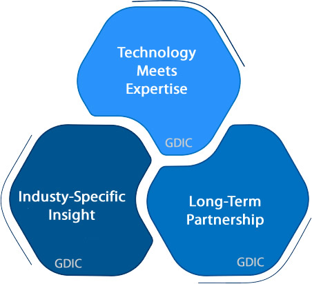 gdic-differentiators market assessment and industry analysis services