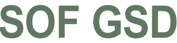 SOF-GSD Solicitation - GDI Consulting